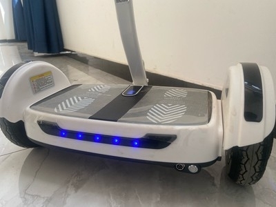 日本Tengym电动平衡车儿童带扶杆通用双...