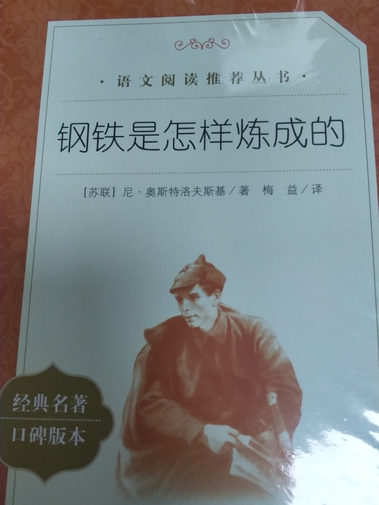 钢铁是怎样炼成的，