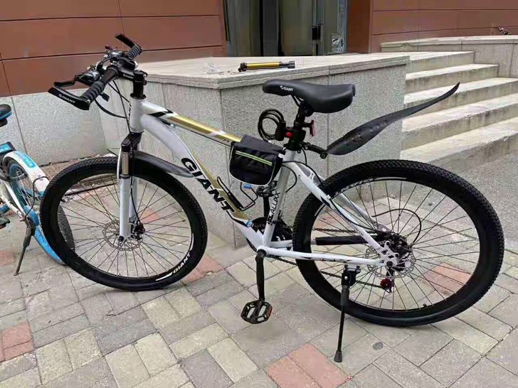 闲置捷安特山地车自行车户外中青年学生变速单...