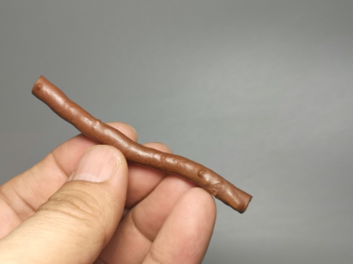 埃及木化石海柳化石A51，高约7.6厘米，...