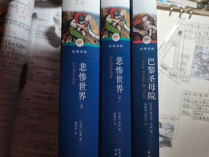 悲惨世界 巴黎圣母院 皮囊