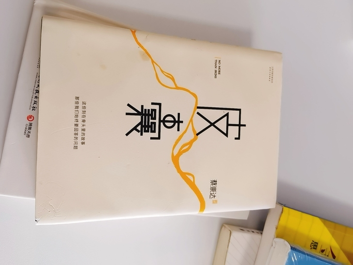 正版 皮囊  9成新