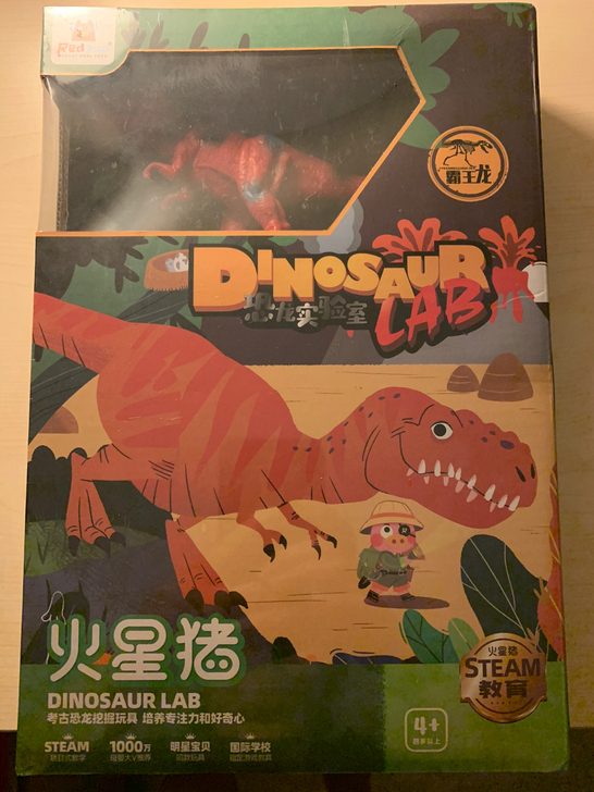 全新火星猪考古小化石，一块可挖出10种古生...