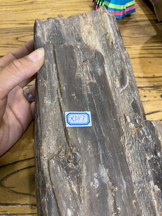 老树化石,一块树化石,天然树化石,从我祖父...