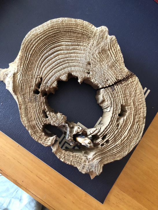 胡杨木千年陈化原木底座摆设，随形摆件创意底座，很有意境。长2