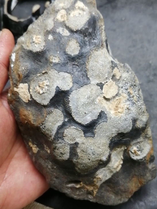 奇石～（点状化石）自己捡的，可以做个摆件，...