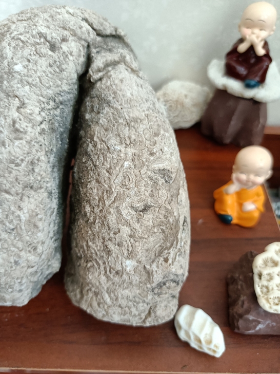 蓟县叠层石,化石,售出不支持退货!鱼缸造景...