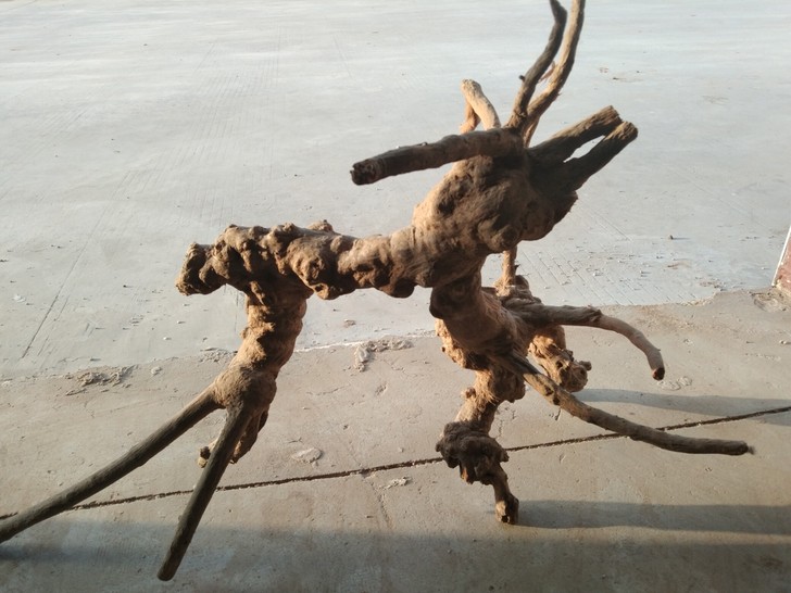 家中旧藏根雕一件，未加工，有淡淡香味，什么...