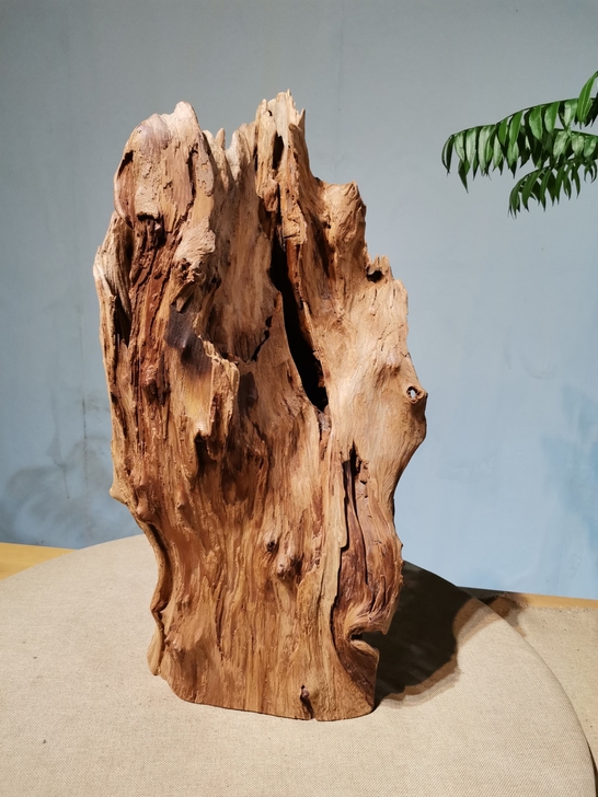 香杉木壳天然摆件