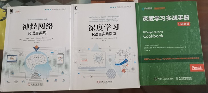 全新 三本手R语言深度学习书：