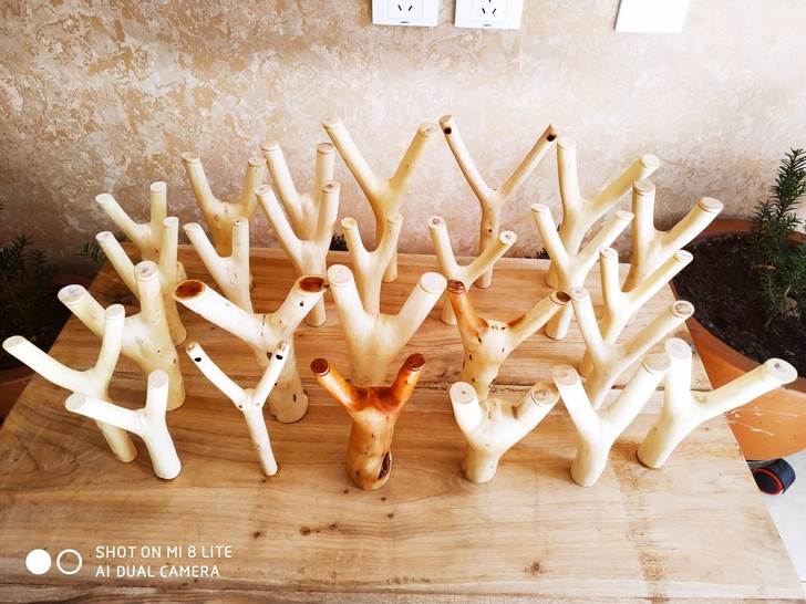 弹弓杈 28元~258元每把。 天然杈型，...