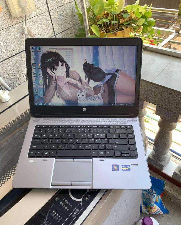 个人出 独显 笔记本电脑 游戏 14寸 商...