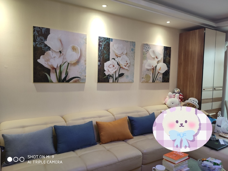 三联现代装饰挂画，