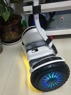 领奥电动平衡车旗舰店双轮儿童8一12智能体...