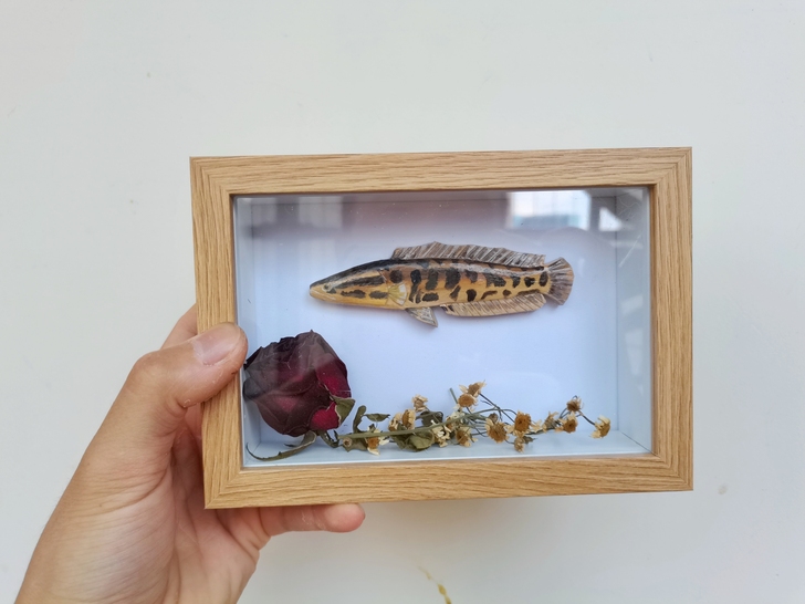 路亚打黑，黑鱼胸针雕刻画，手工制作，大黑鱼...