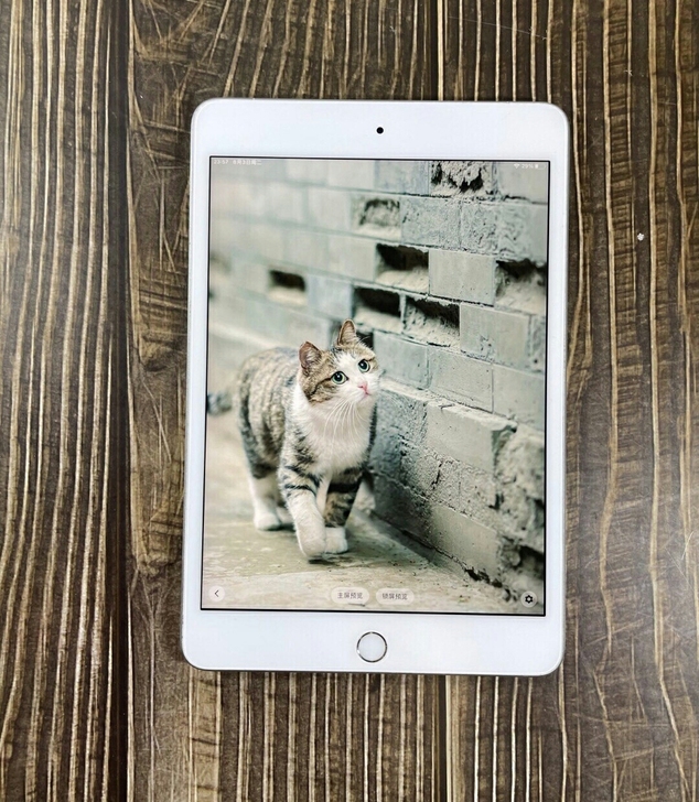 闲置二手 原装苹果平板 网课必备 考研 学...