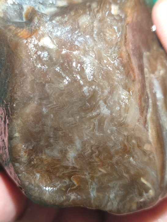 另类化石玉 玉石 奇石