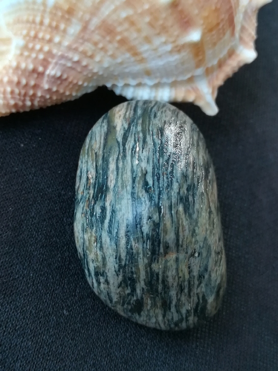 疑是木头化石，彩色的4公分