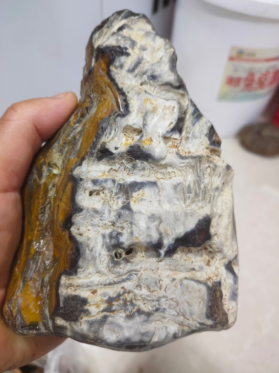 1036克黑龙东北的玉石，树变的化石，天然...