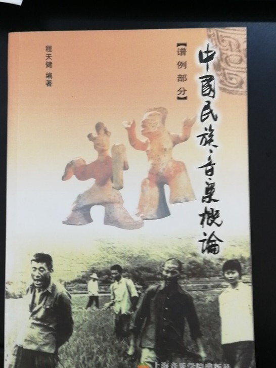 中国民族音乐概论2册