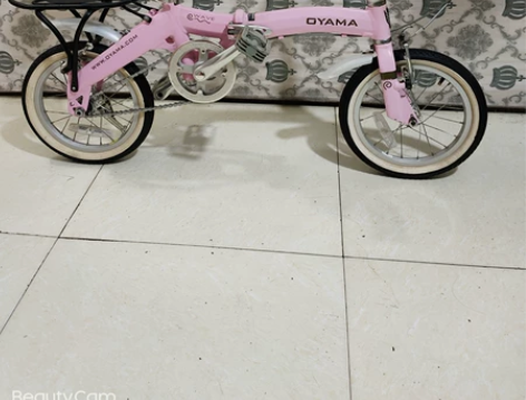 9新欧亚马折叠车，全铝车架，很轻，14寸轮...