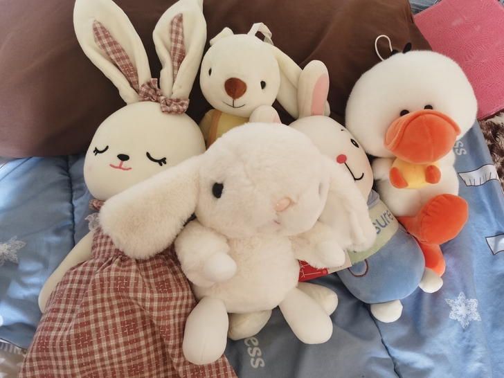 玩具公仔，布偶在，玩偶，布娃娃从精品店和游...