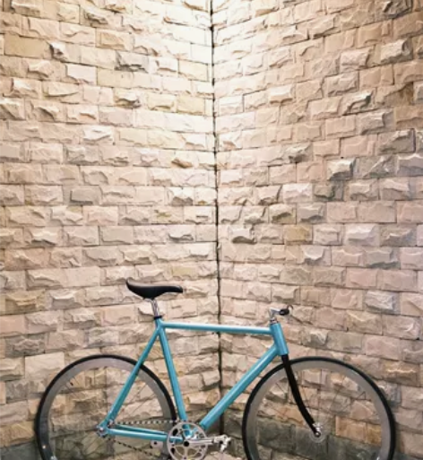 FixedGear死飞 铝架钢叉     ...