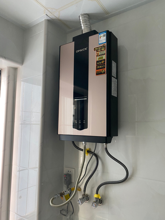 智能恒温燃气热水器 天然气热水器