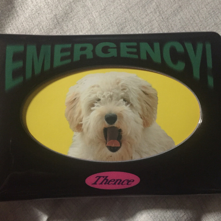 thence卡册 标价可直拍