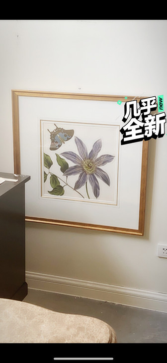 美克美家伊森艾伦挂画 不包邮，到哪都不包邮...