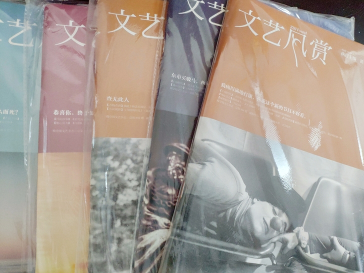 文艺风赏 杂志 青春文学 2015 2016
