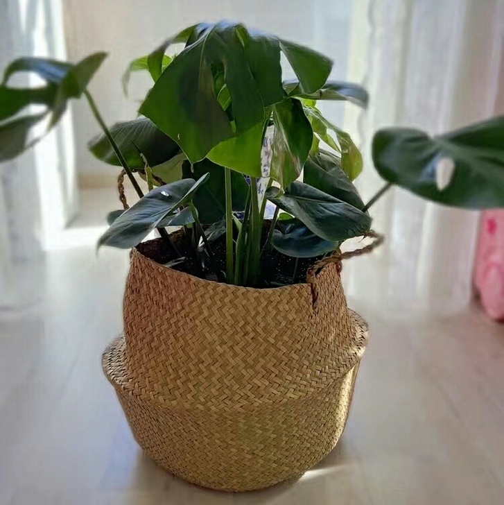 清货北欧草编花盆创意编织花篮天堂鸟龟背竹手...