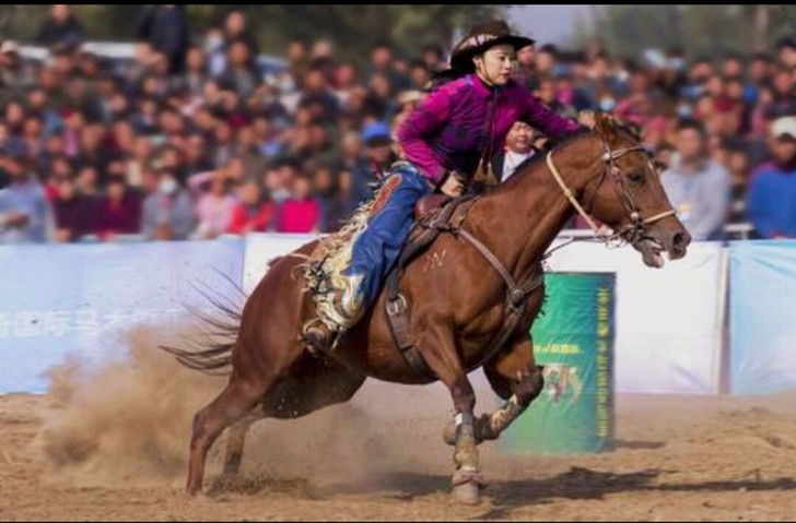 飞马滹沱演出门票