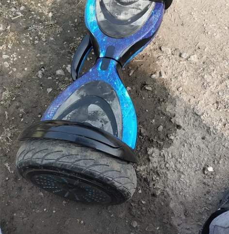 啊迪狮智能平衡车，10寸充气大轮毂有灯光，...