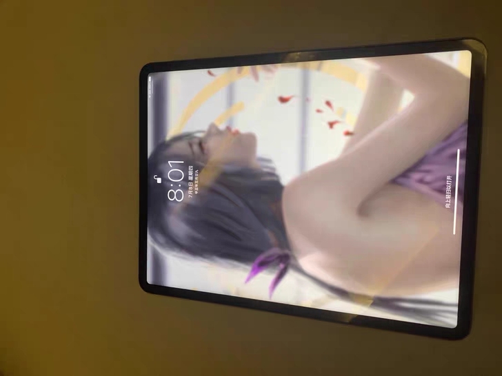 ipadpro2021 12.9港版128g