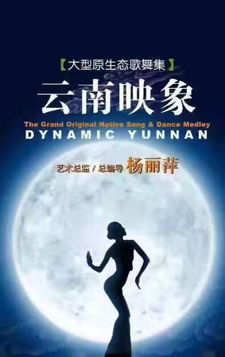 云南映象 在线选座 下单改价 超低价 演出...