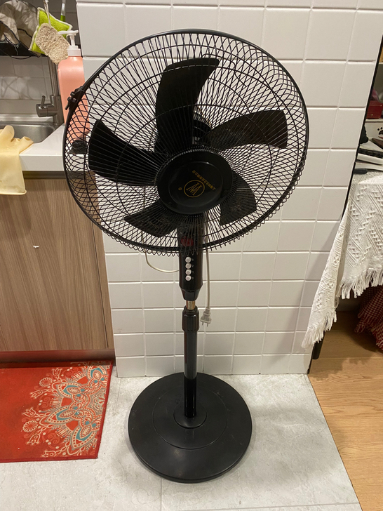出电风扇一台，仅限自提