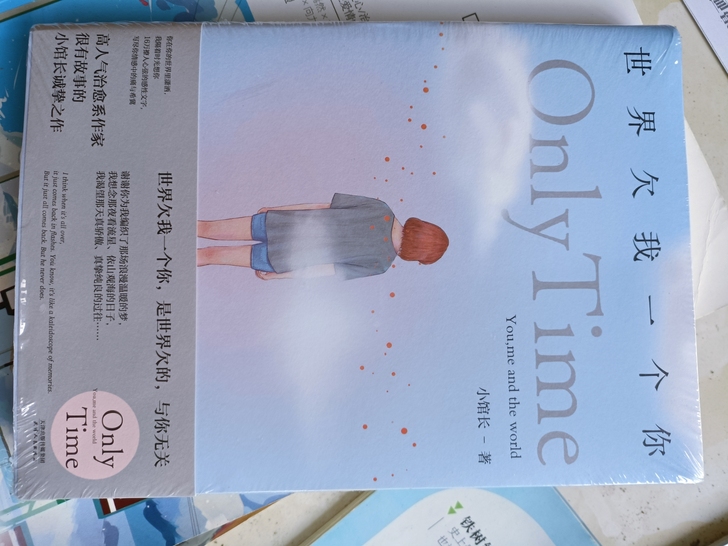 出版小说  几乎全新