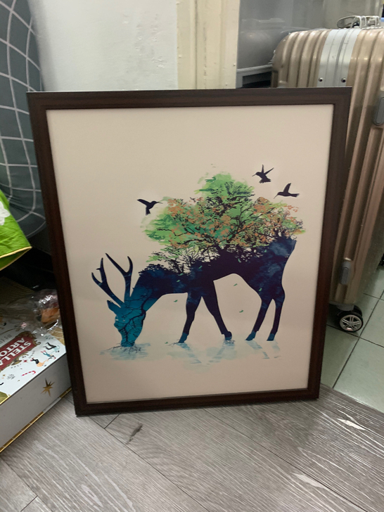 装饰画，几乎全新转让，单卖30元一副画