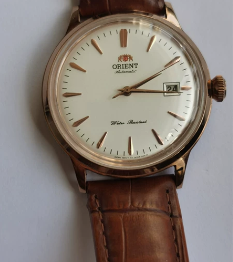 自用双狮自动机械手表，成色完好，走时精准 ...