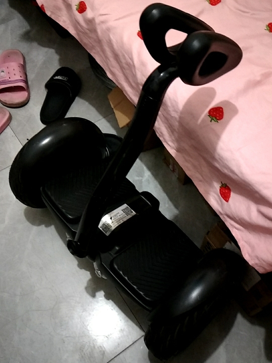 领奥飞特威mlnl平衡车，时间太久了，充不...