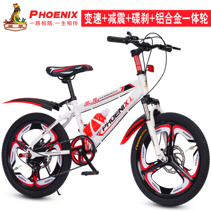 Phoenix/凤凰 自行车