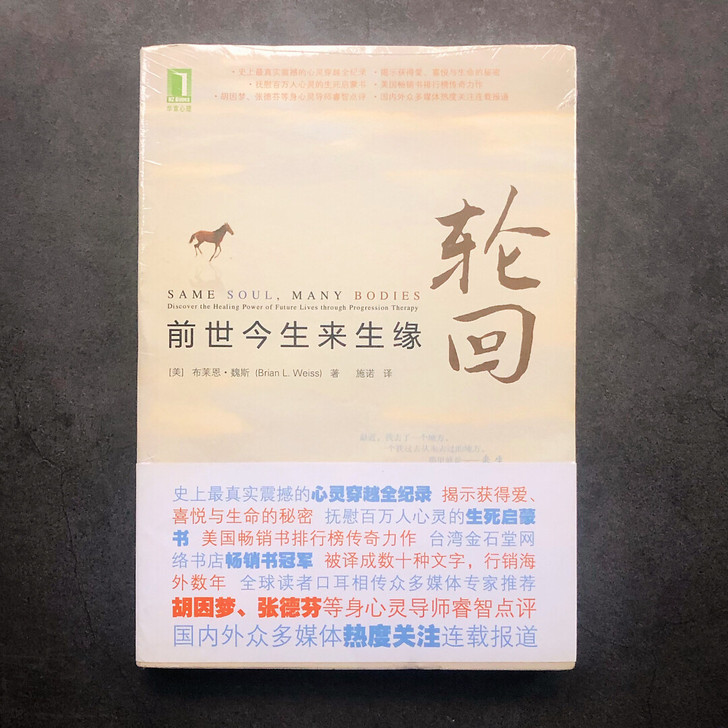 正版《轮回-前世今生来生缘》