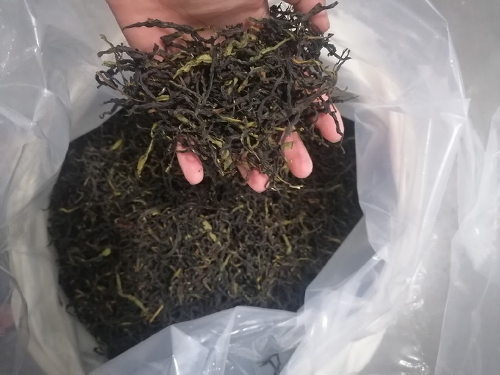 凤凰鸭屎香,自家生产,无中商价,自家特产