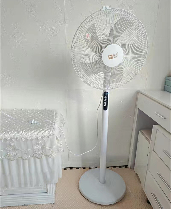 处理骆驼电风扇家用落地扇大风力摇头立式电风...