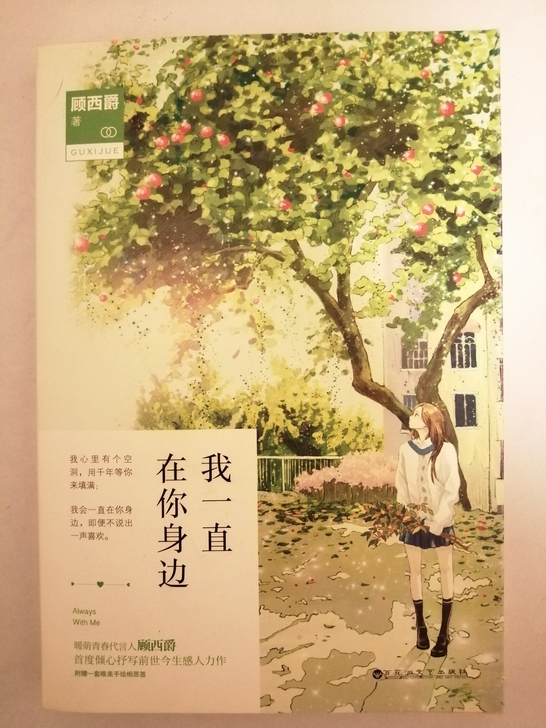 《我一直在你身边》也是一本我觉得写的非常好...