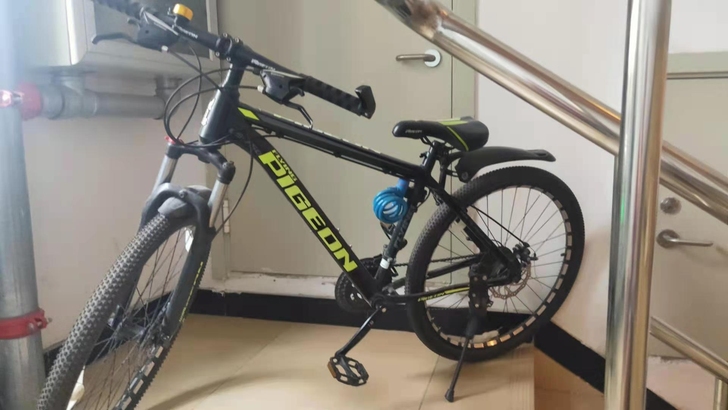 白鸽牌自行车 变速3D车 12档 8成新 ...