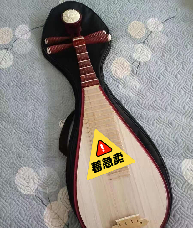 表妹的琵琶，原价1600买的，花梨木成人琵...