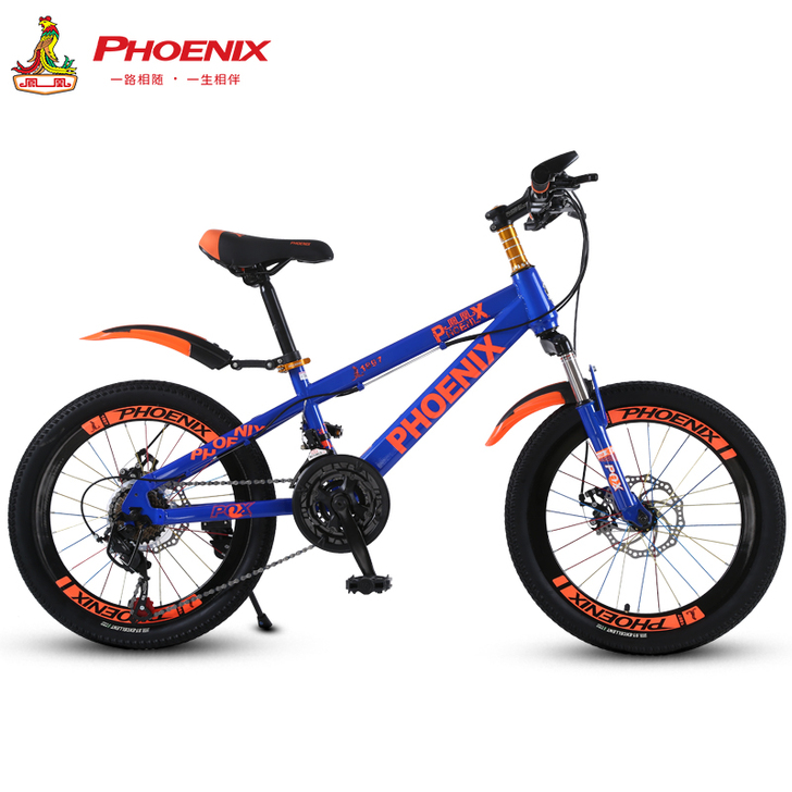 家中闲置 Phoenix/凤凰 自行车 1...