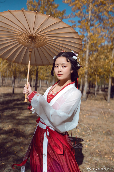 浮月原创汉服 翩然 仅飞机袖对交穿上襦